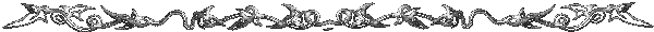 Left Icon